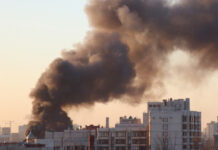 Emotional assumptions – scenario Image by Olga Oginskaya from Pixabay