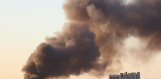 Emotional assumptions – scenario Image by Olga Oginskaya from Pixabay