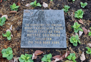 Image of the Heysel Stadium tragedy plaque by Rodhullandemu released via Creative Commons BY-SA
