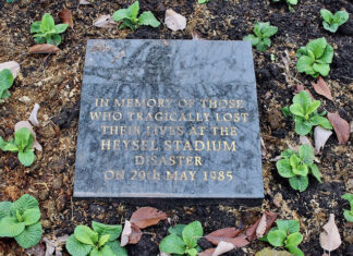 Covering a tragedy – scenario Image by Rodhullandemu released via Creative Commons BY-SA