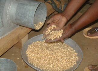 Testing boundaries – scenario Image by the International Maize and Wheat Improvement Centre released via Creative Commons BY-NC-SA 2.0