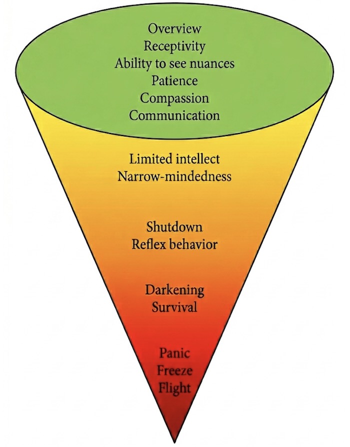 The stress cone by psychologist Phiippa Borgh